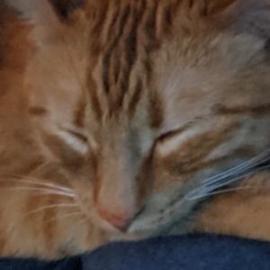 Meet your Posher, Becki